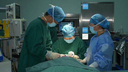 1766231868-ab127cf98af7c49