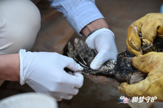 1772521155-243e467aeeb4a32 1772521155-243e467aeeb4a32