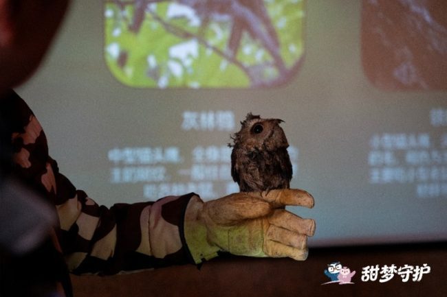 1772521155-f94f004a62529bf 1772521155-f94f004a62529bf