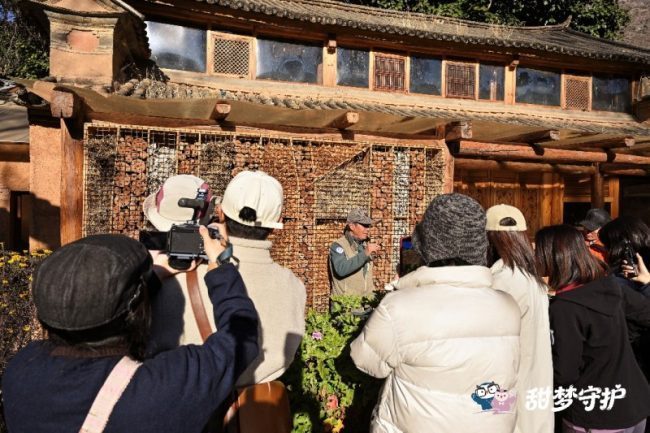 1772521156-18b5b636882fd17 1772521156-18b5b636882fd17