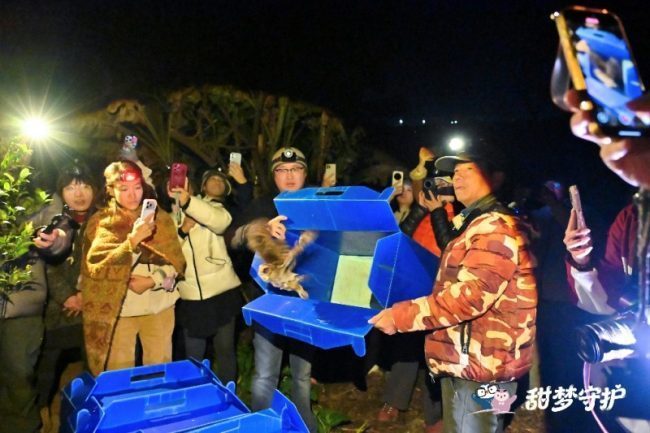 1772521157-66468703c9b156d 1772521157-66468703c9b156d