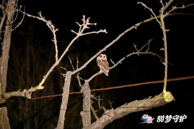 1772521157-82a6a2088a914d8 1772521157-82a6a2088a914d8