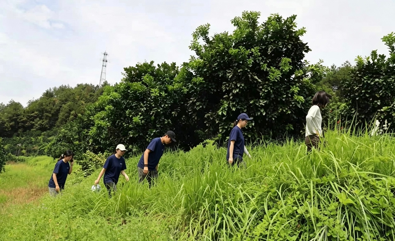 金柚香里话振兴 红色热土践初心